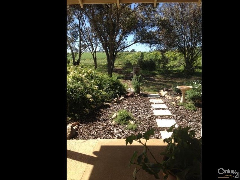 1812 Adelaide Road, Kulpara SA 5555