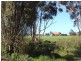 1812 Adelaide Road, Kulpara SA 5555
