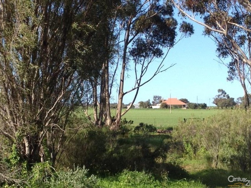 1812 Adelaide Road, Kulpara SA 5555
