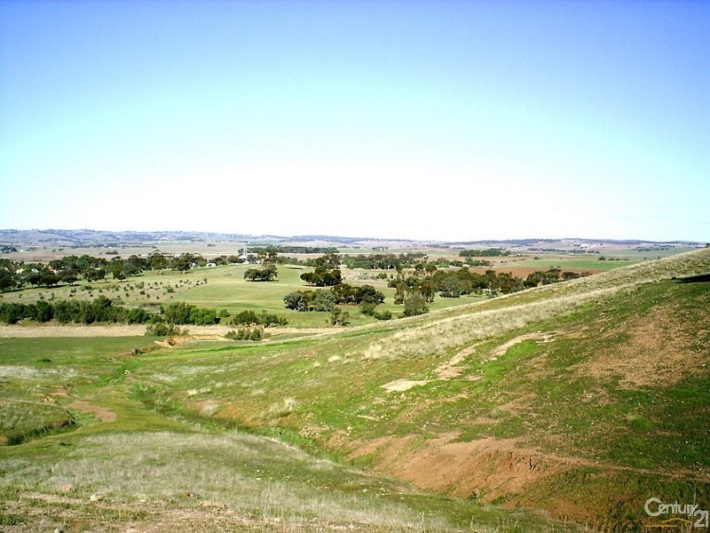 3 Hawker Street, Yacka SA 5470