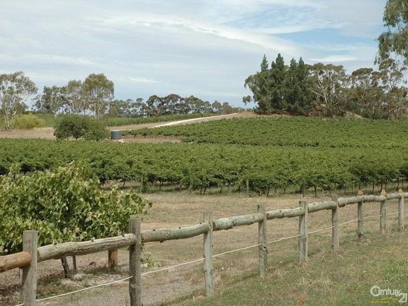 3 Hawker Street, Yacka SA 5470