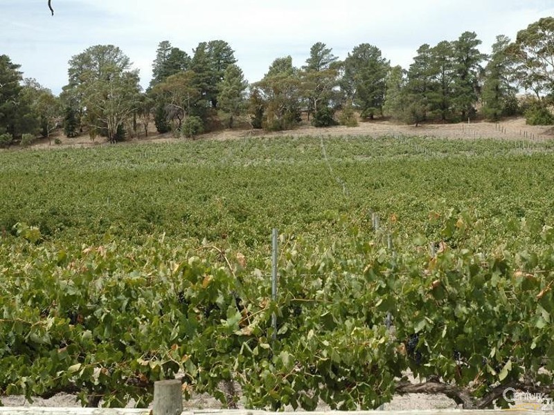 3 Hawker Street, Yacka SA 5470