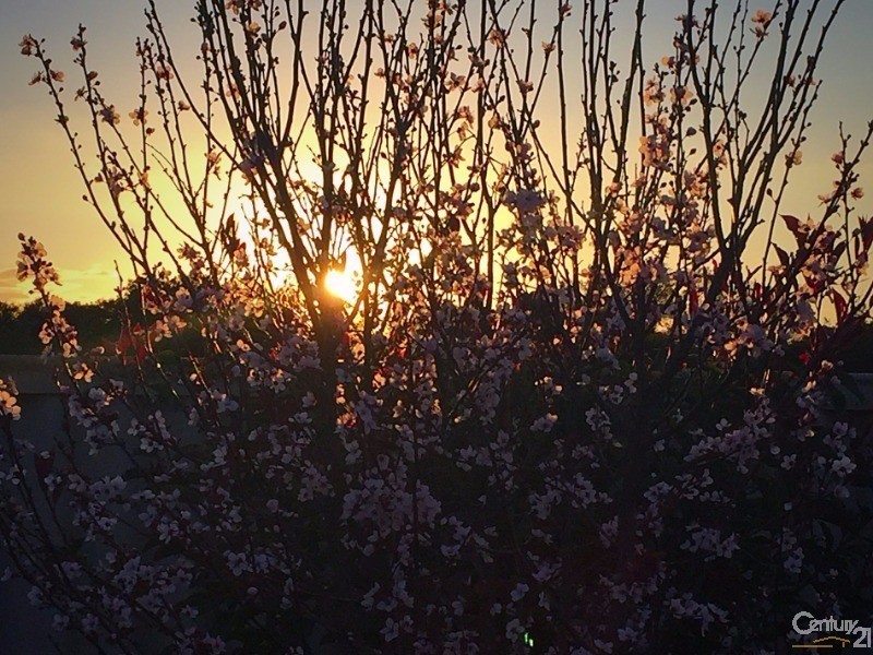 63 Himalaya Drive, North Haven SA 5018