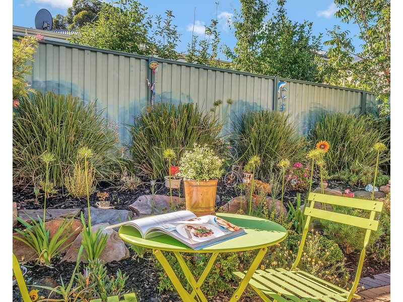 37 Grasswren Way, Mawson Lakes SA 5095