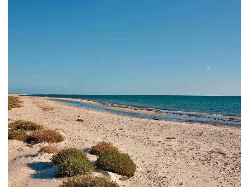 9 Balk Street, Largs Bay SA 5016