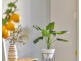 6 Blackler Street, Semaphore SA 5019