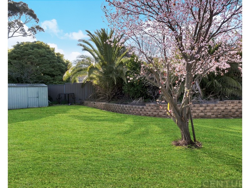 4 Meldrum Street, Trott Park SA 5158