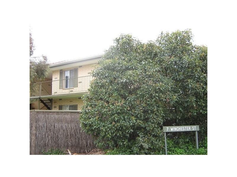 11/ 7 Winchester Street, St Peters SA 5069