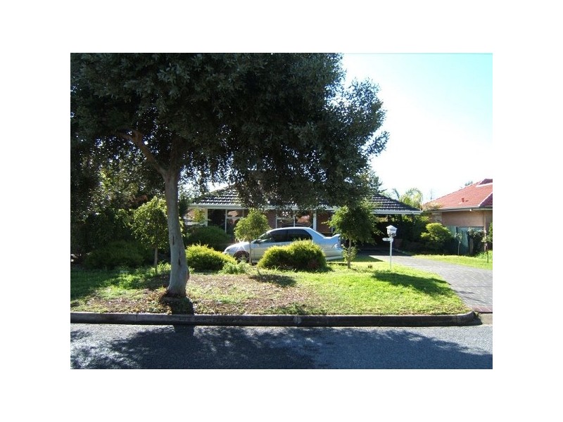 Campbelltown SA 5074