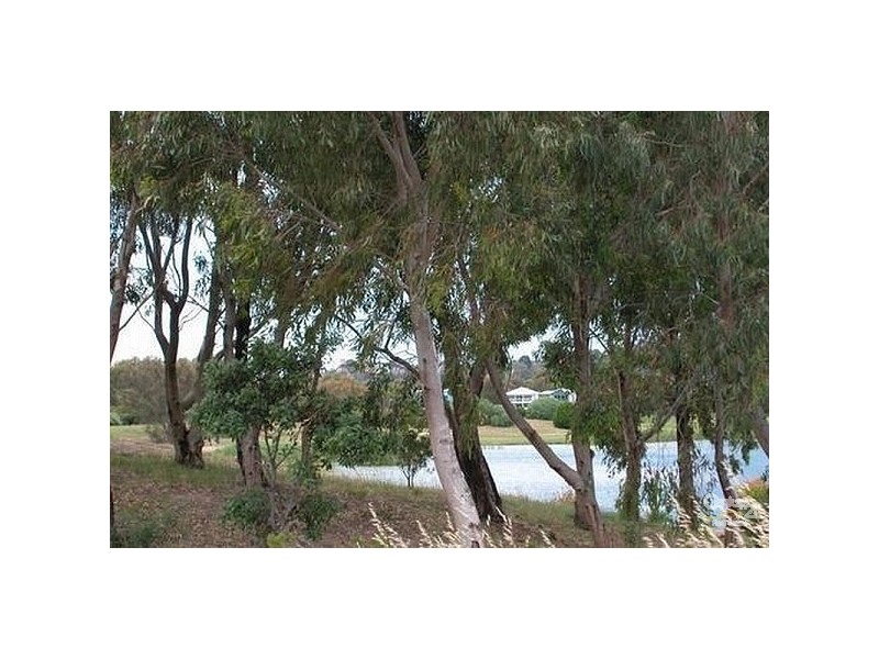 Lot 7 Coromandel Drive, Mccracken SA 5211
