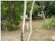 13 Gordon Avenue, Clearview SA 5085