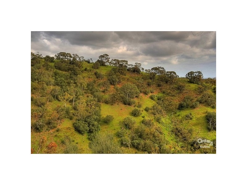 PortionLot22 Wandilla Drive, Rostrevor SA 5073