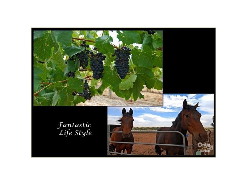 Lot 51 Rosedale Scenic Road, Rosedale SA 5350