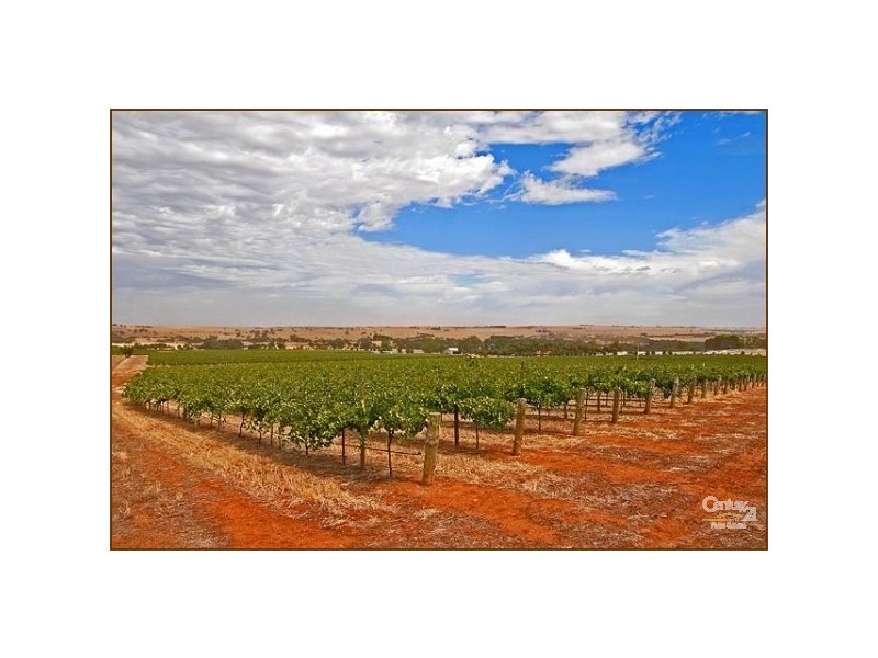 Lot 51 Rosedale Scenic Road, Rosedale SA 5350
