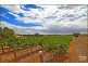 Lot 51 Rosedale Scenic Road, Rosedale SA 5350