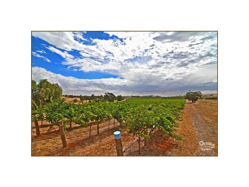 Lot 51 Rosedale Scenic Road, Rosedale SA 5350