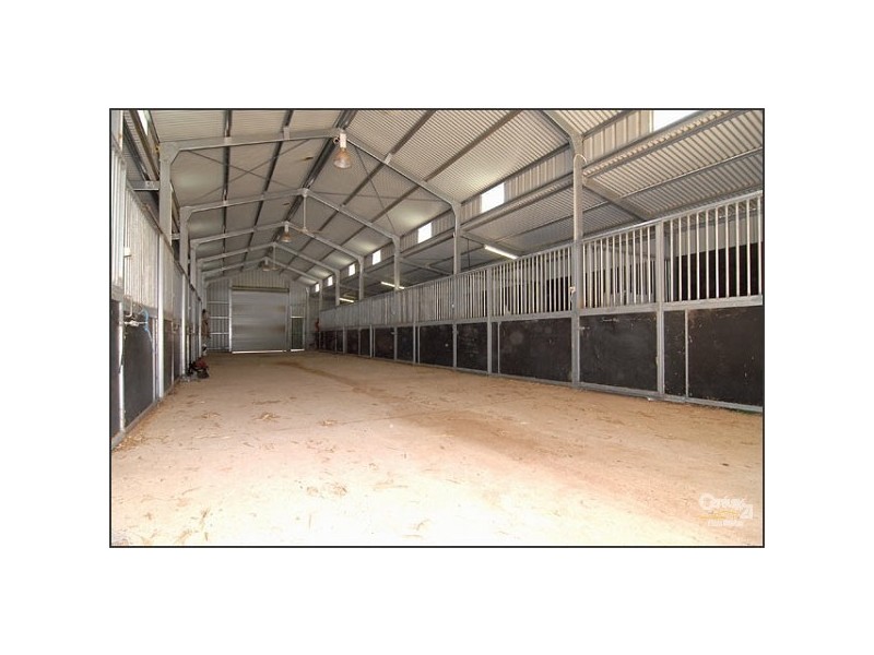 Lot 51 Rosedale Scenic Road, Rosedale SA 5350