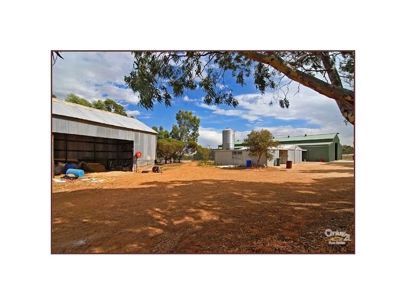 Lot 51 Rosedale Scenic Road, Rosedale SA 5350