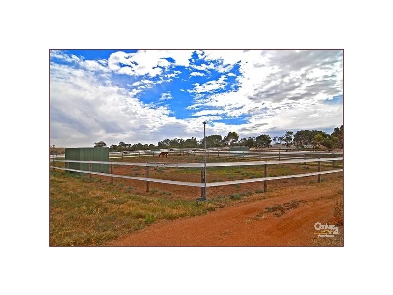 Lot 51 Rosedale Scenic Road, Rosedale SA 5350