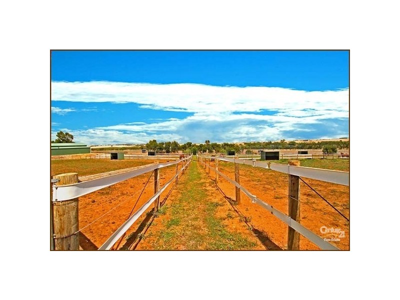 Lot 51 Rosedale Scenic Road, Rosedale SA 5350