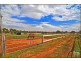 Lot 51 Rosedale Scenic Road, Rosedale SA 5350