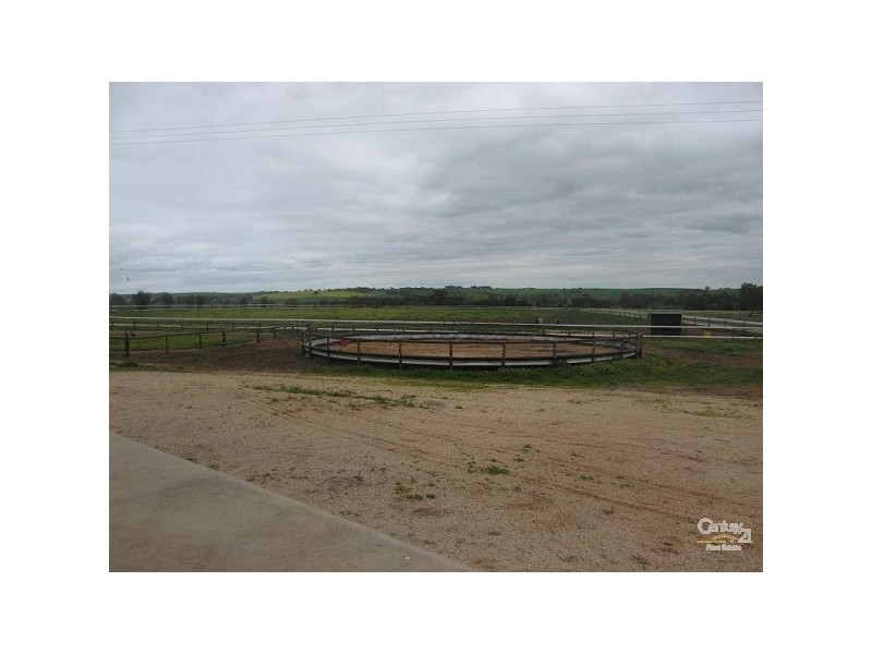 Lot 51 Rosedale Scenic Road, Rosedale SA 5350