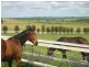 Lot 51 Rosedale Scenic Road, Rosedale SA 5350