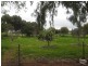 Lot 51 Rosedale Scenic Road, Rosedale SA 5350