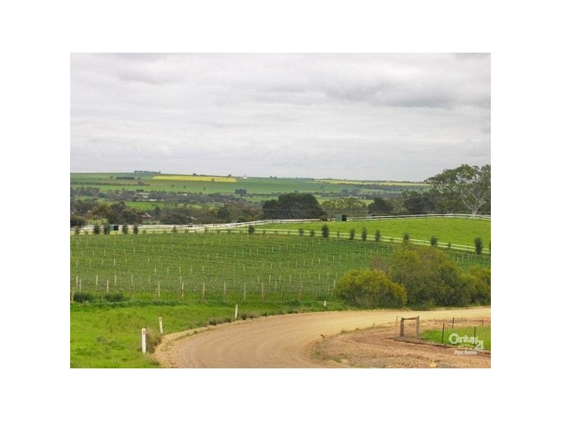 Lot 51 Rosedale Scenic Road, Rosedale SA 5350