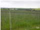 Lot 51 Rosedale Scenic Road, Rosedale SA 5350