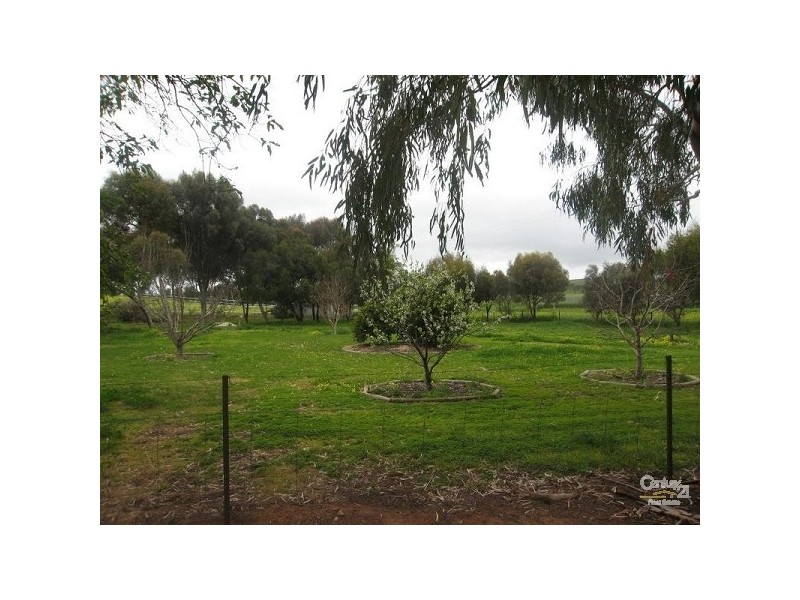 Lot 51 Rosedale Scenic Road, Rosedale SA 5350