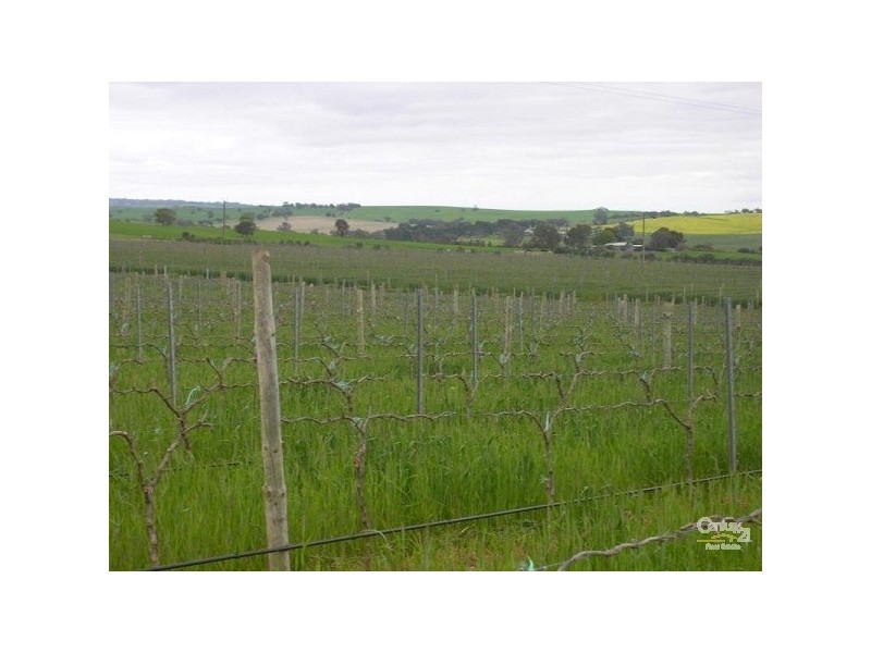 Lot 51 Rosedale Scenic Road, Rosedale SA 5350