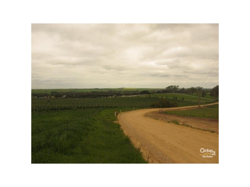 Lot 51 Rosedale Scenic Road, Rosedale SA 5350