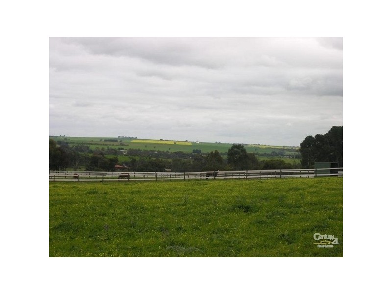 Lot 51 Rosedale Scenic Road, Rosedale SA 5350