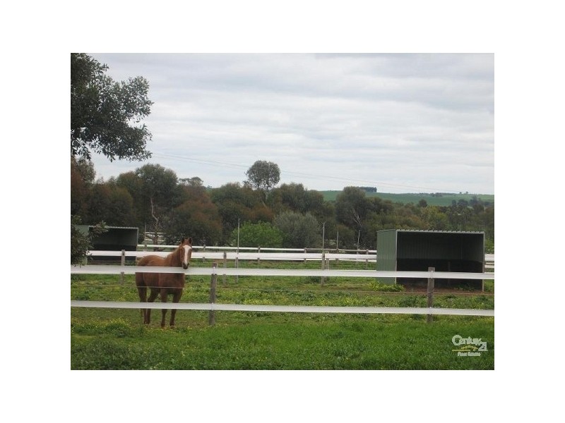 Lot 51 Rosedale Scenic Road, Rosedale SA 5350