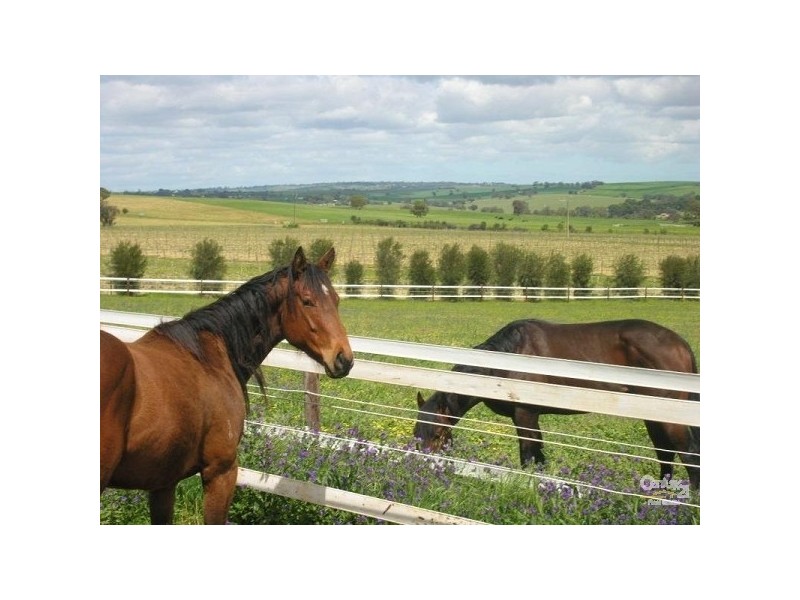 Lot 51 Rosedale Scenic Road, Rosedale SA 5350