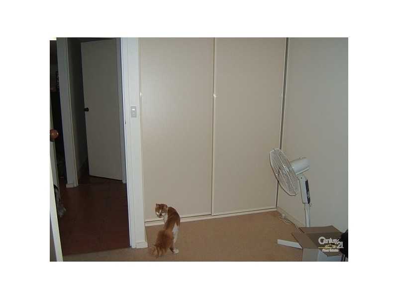 15 Morey Drive, Salisbury Heights SA 5109