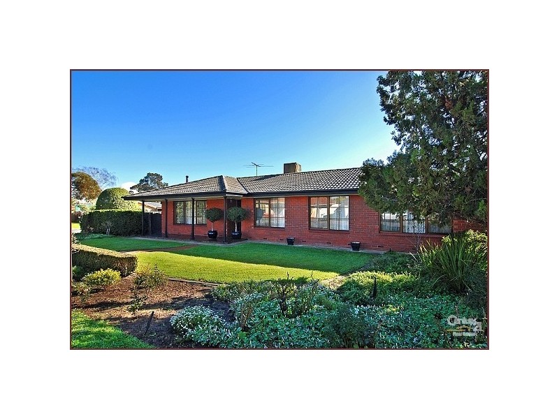 7 Vagnoni Avenue, Paradise SA 5075