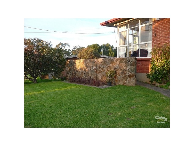 3 Barcroft Street, Pasadena SA 5042