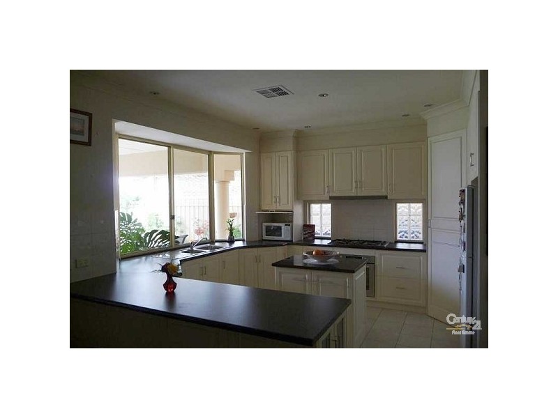 19 Leewood Road, Paradise SA 5075