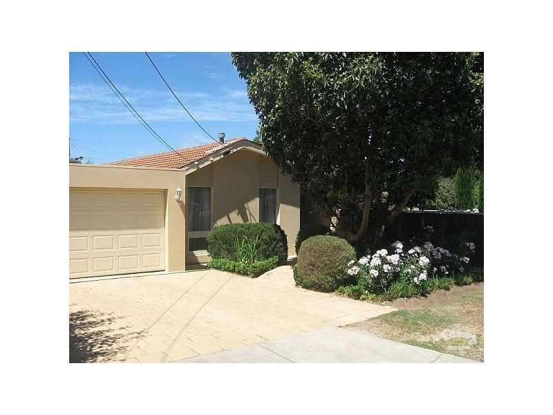 16 Olive Street, Magill SA 5072