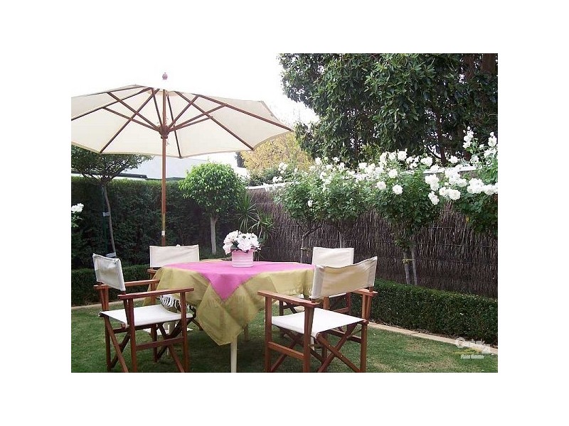 16 Olive Street, Magill SA 5072