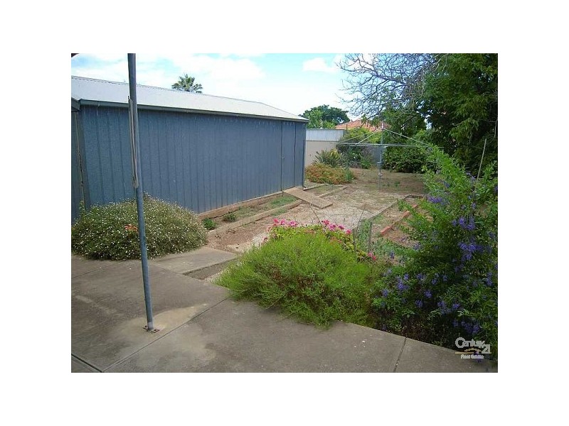 10 Warren Avenue, Prospect SA 5082