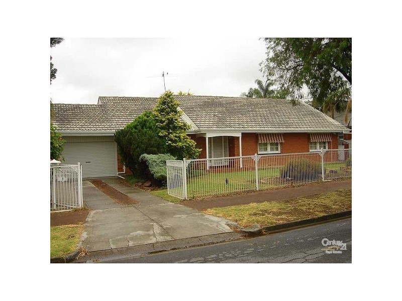 3 Gothic Drive, Paradise SA 5075