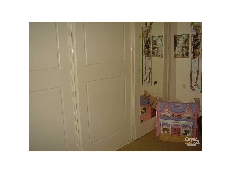 3 Gothic Drive, Paradise SA 5075