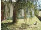 15 Sandville Avenue, Broadview SA 5083