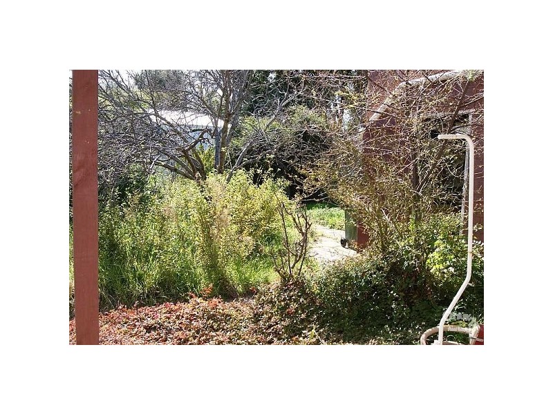 11 Celtic Avenue, Clovelly Park SA 5042