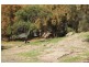 Lot 100 Scenic Drive, American River SA 5221