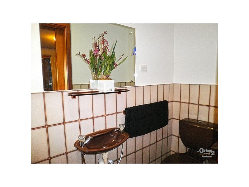 19 Kenwyn Drive, Campbelltown SA 5074