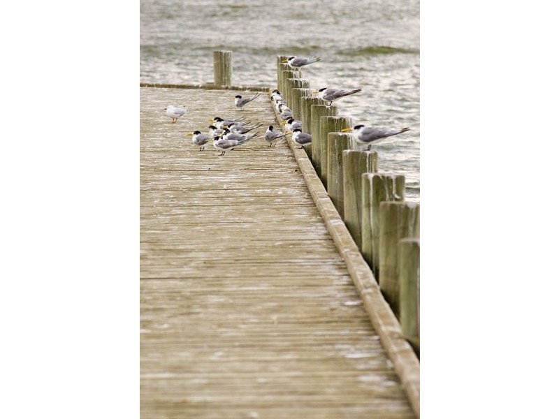 Goolwa North SA 5214